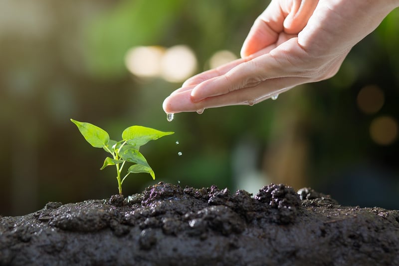 Connecting with Like-Minded Gardeners